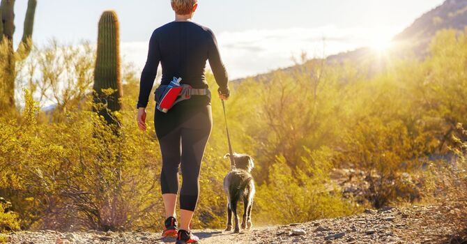 Baseball Mobility Program