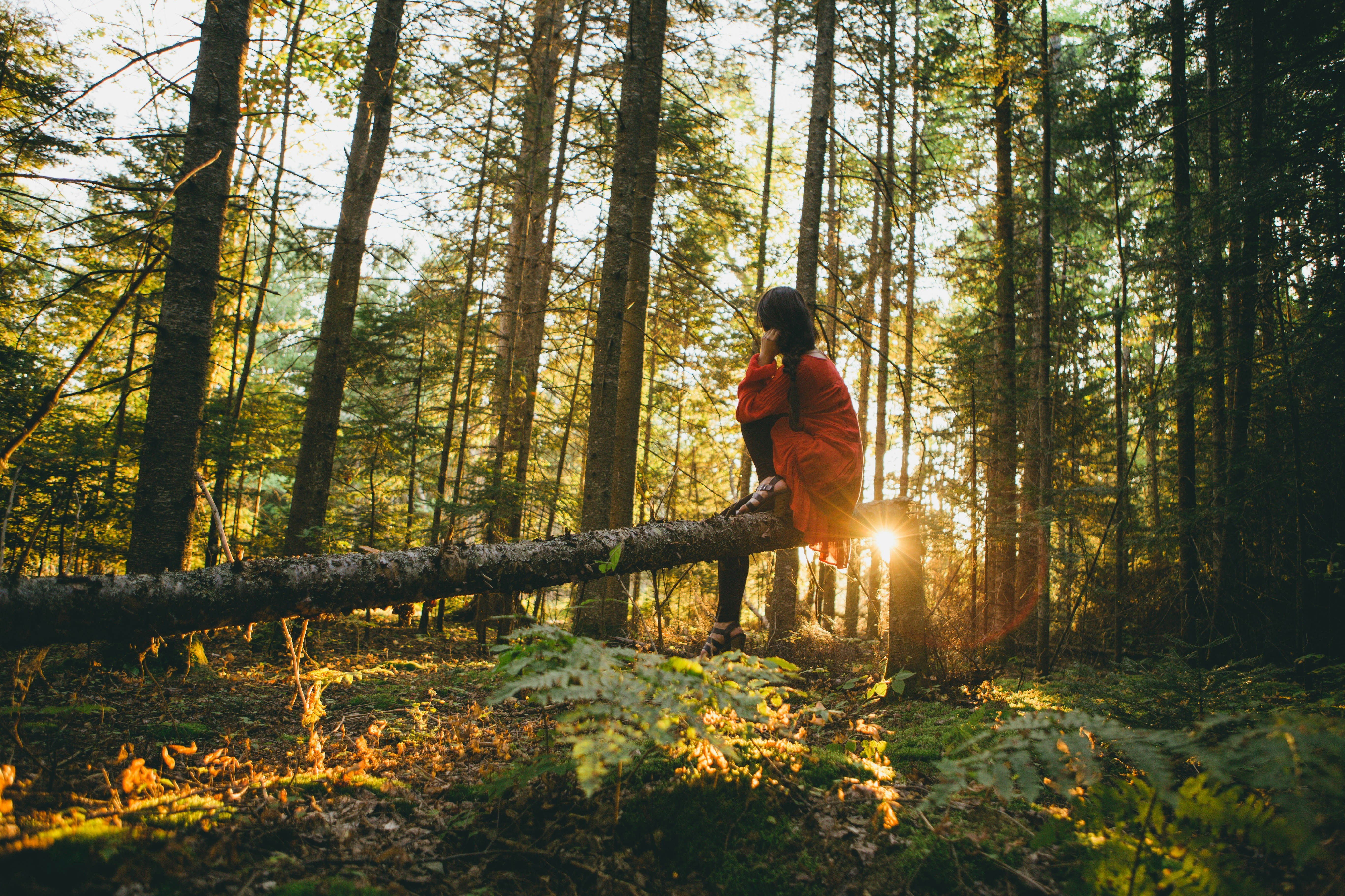 esther-tuttle-AIklyC7dudQ-unsplash